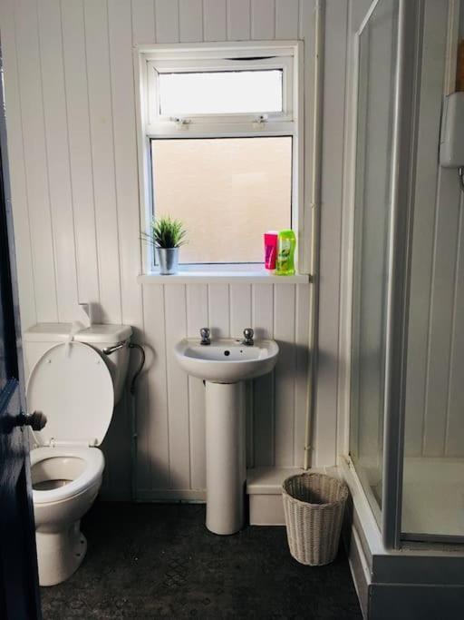 Hillcrest Cottage, Comfy Flat, Trendy Uplands Area Swansea Dış mekan fotoğraf